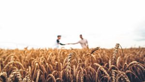 EU Cap Network: Όταν η γνώση περνά από αγρότη σε αγρότη