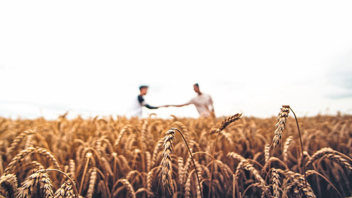 EU Cap Network: Όταν η γνώση περνά από αγρότη σε αγρότη