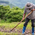 Πρόγραμμα 80 μέτρων κατά της κλιματικής αλλαγής