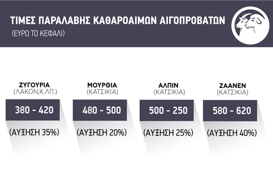 Βάσει τιμών αγοράς 2026 και με ατόφιο 400άρι το κεφάλι η ανασύσταση κοπαδιού που απαιτούν οι προβατοτρόφοι