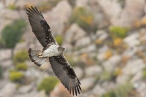 Μνημείο αυθαιρεσίας και οι νέες πληρωμές, δεν πιστώθηκαν ευρώ μεγάλοι καλλιεργητές  και εκπρόθεσμα ΟΣΔΕ