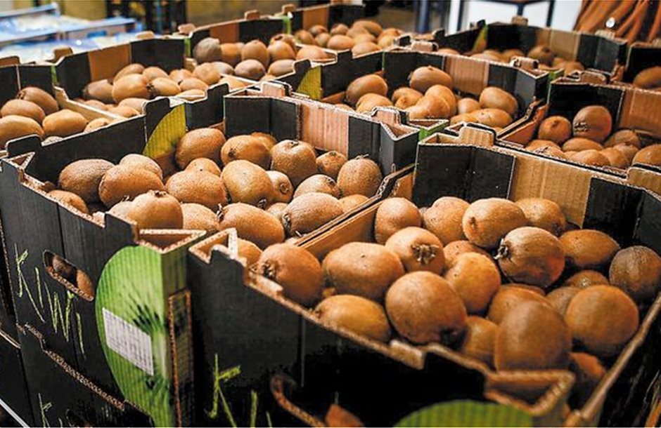 Τα ακτινίδια στο επίκεντρο ημερίδας του Δήμου Δίου-Ολύμπου