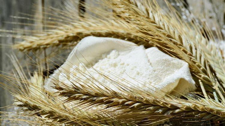 Πώς η τεχνητή νοημοσύνη αλλάζει ήδη τη βιομηχανία αλεύρου