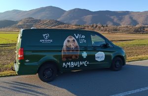 Αρκτούρος: Απέκτησε ασθενοφόρο για την περίθαλψη άγριων ζώων