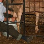 Έτσι «άρμεξε» πάνω από ένα εκατομμύριο ευρώ από τον ΟΠΕΚΕΠΕ μέσα σε δύο χρόνια