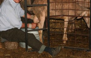 Έτσι «άρμεξε» πάνω από ένα εκατομμύριο ευρώ από τον ΟΠΕΚΕΠΕ μέσα σε δύο χρόνια