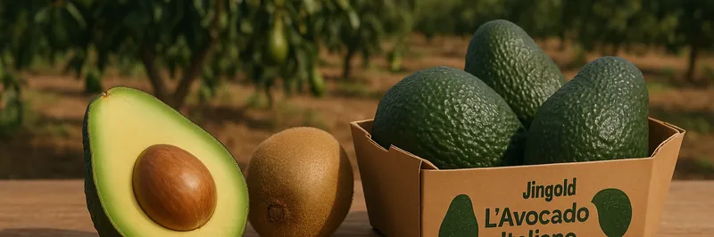 Η Jingold επεκτείνει τις δραστηριότητες της για πρώτη φορά στα αβοκάντο - Fresher
