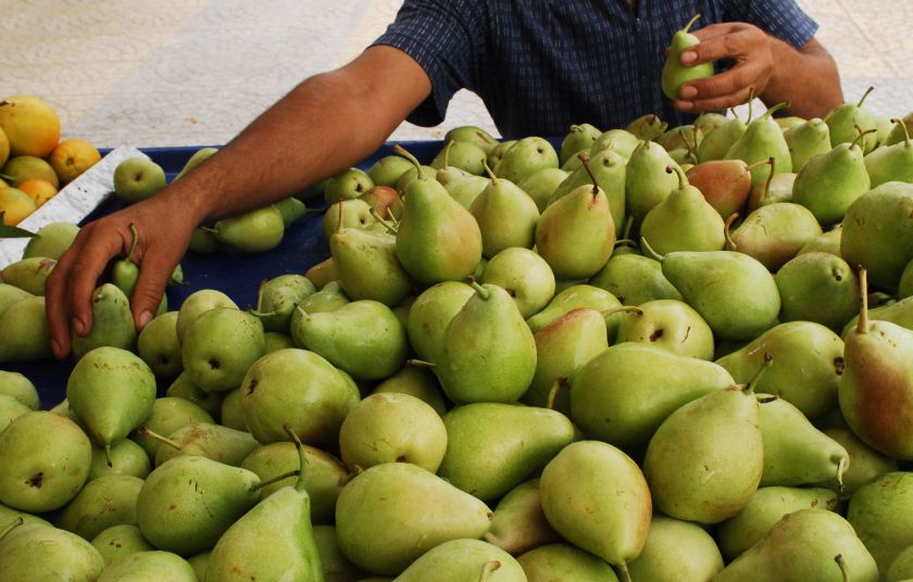 Δεν αντιστάθμισαν τις μεγάλες απώλειες παραγωγής οι υψηλές τιμές στο επιτραπέζιο αχλάδι