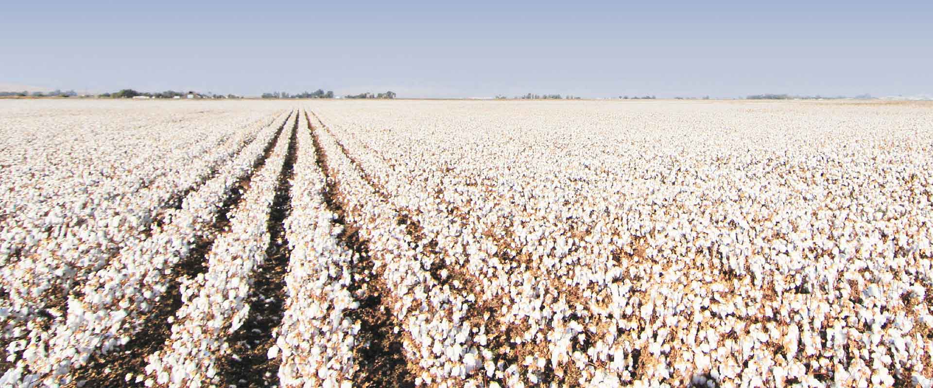 ypaat-96-ekat-evro-gia-meiosi-apotypomatos-anthraka-se-arosimes-kalliergeies-318570