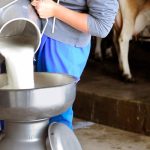 Χαμηλότερες τιμές γαλακτοκομικών το 2026 λόγω υπερπαραγωγής βλέπει η Rabobank - Τυροκόμος