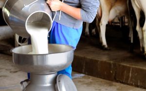 Χαμηλότερες τιμές γαλακτοκομικών το 2026 λόγω υπερπαραγωγής βλέπει η Rabobank - Τυροκόμος