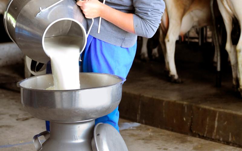 Χαμηλότερες τιμές γαλακτοκομικών το 2026 λόγω υπερπαραγωγής βλέπει η Rabobank - Τυροκόμος
