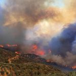 Μειωμένη η παραγωγή ελαιολάδου στη Χίο