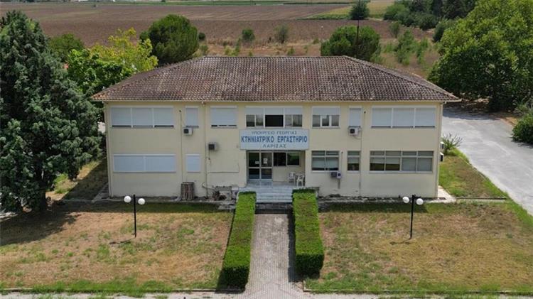 Στη Λάρισα το 90% των ελέγχων PCR για την ευλογιά αιγοπροβάτων όλης της χώρας