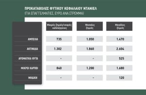 Πιέσεις για να πληρωθεί και  το 60% στο φυτικό κεφάλαιο  έως Δευτέρα 22 Δεκεμβρίου
