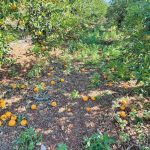 Αργολίδα: Αμέτρητες οι ζημιές από τις βροχοπτώσεις στον Δήμο Ναυπλιέων