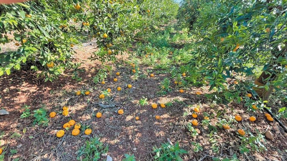 Αργολίδα: Αμέτρητες οι ζημιές από τις βροχοπτώσεις στον Δήμο Ναυπλιέων