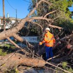 Θεσσαλονίκη: Έπεσαν δεκάδες δέντρα και πινακίδες από τους ισχυρούς ανέμους μέχρι και 8 μποφόρ