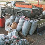 Για την 1η Μαΐου του 2026 μετατίθεται η εφαρμογή του Ψηφιακού Δελτίου Αποστολής για τη διακίνηση ελαιοκάρπου