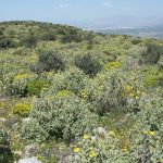 Ύποπτες διαγραφές αγρών  στο Ε9 βγάζουν στο ξέφωτο απατεώνες και συμβούλους