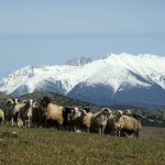 Με 215,8 εκατ. ευρώ η πληρωμή της εξισωτικής, έως 24 Δεκεμβρίου οι ενστάσεις