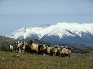 Με 215,8 εκατ. ευρώ η πληρωμή της εξισωτικής, έως 24 Δεκεμβρίου οι ενστάσεις