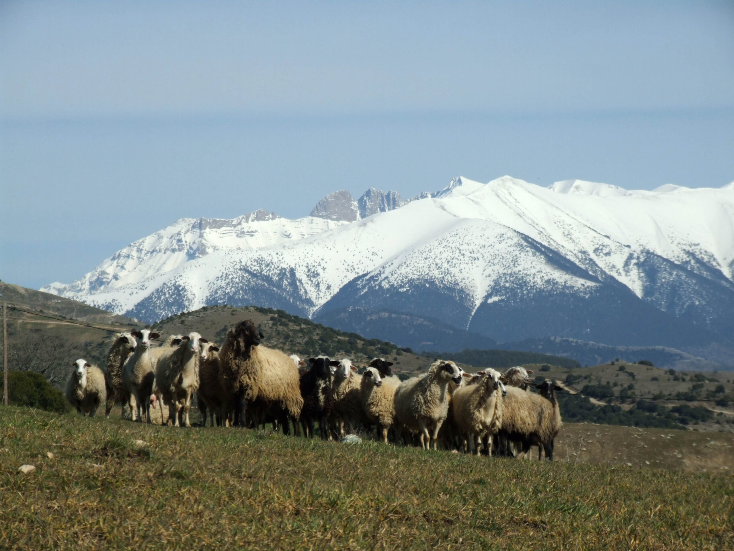 Με 215,8 εκατ. ευρώ η πληρωμή της εξισωτικής, έως 24 Δεκεμβρίου οι ενστάσεις