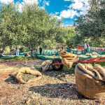 Στο ΦΕΚ η τροποποίηση του θεσμικού πλαισίου για τα επιχειρησιακά προγράμματα των ΟΕΦ