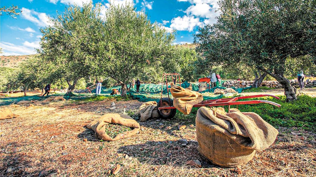 Στο ΦΕΚ η τροποποίηση του θεσμικού πλαισίου για τα επιχειρησιακά προγράμματα των ΟΕΦ