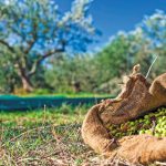 Στο πάρα πέντε σε ΦΕΚ η τροποποιητική απόφαση για τους ΟΕΦ