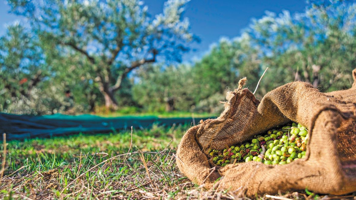 Στο πάρα πέντε σε ΦΕΚ η τροποποιητική απόφαση για τους ΟΕΦ