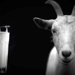 Η αγορά βράζει από νοθεία  και ο ΕΛΓΟ–ΔΗΜΗΤΡΑ απουσιάζει από τον ρόλο του φύλακα