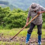 Η μετάκληση εργατών γης στη συνάντηση πρέσβη Βιετνάμ, ΕΘΕΑΣ