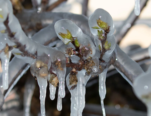 Μια 4ετία μετά βγήκε η απόφαση για τα de minimis Πέλλας στο προανθικό στάδιο - Fresher