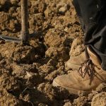 Αρβανίτης: Η κυβέρνηση παραπλανά τους παραγωγούς