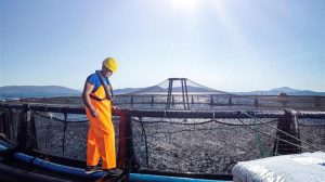 Οι ευρωβουλευτές της Αλιείας πιέζουν για πρόοδο στην απαλλαγή του στόλου της ΕΕ από τις ανθρακούχες εκπομπές