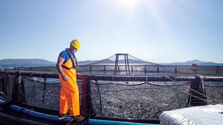 Οι ευρωβουλευτές της Αλιείας πιέζουν για πρόοδο στην απαλλαγή του στόλου της ΕΕ από τις ανθρακούχες εκπομπές