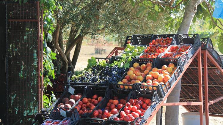 Κλειστές οι λαϊκές αγορές την Τετάρτη 3 Δεκεμβρίου 2025