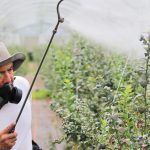 ypaat-pano-apo-97-symmorfosi-stous-elegchous-ypoleimmaton-fytoprostateftikon-to-2025-272375