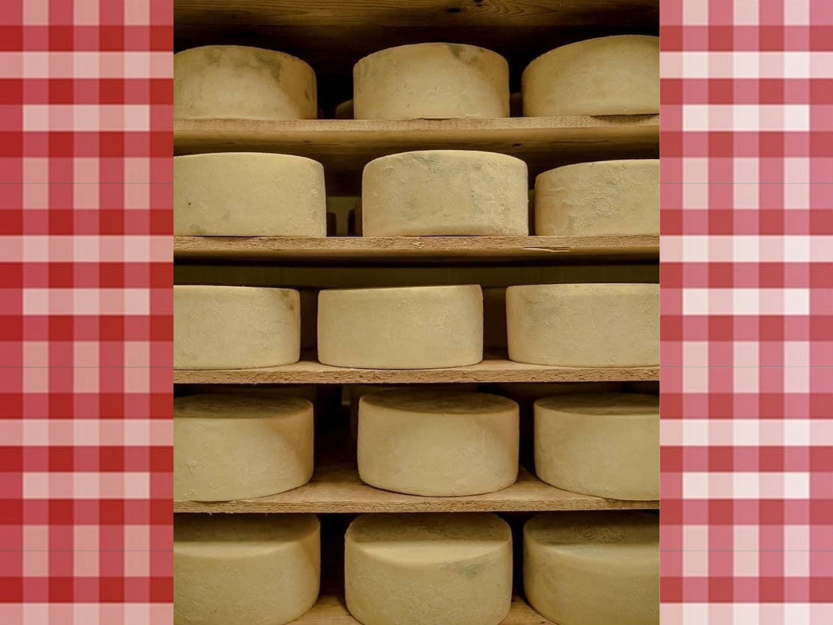 Η γραβιέρα Νάξου καλύτερο τυρί στον κόσμο για το 2026