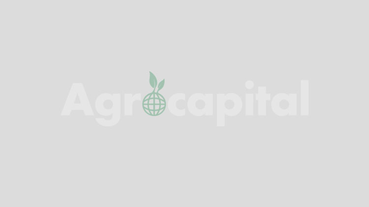 Φορέας Απόκτησης Ακινήτων: Προς ανάδειξη αναδόχου