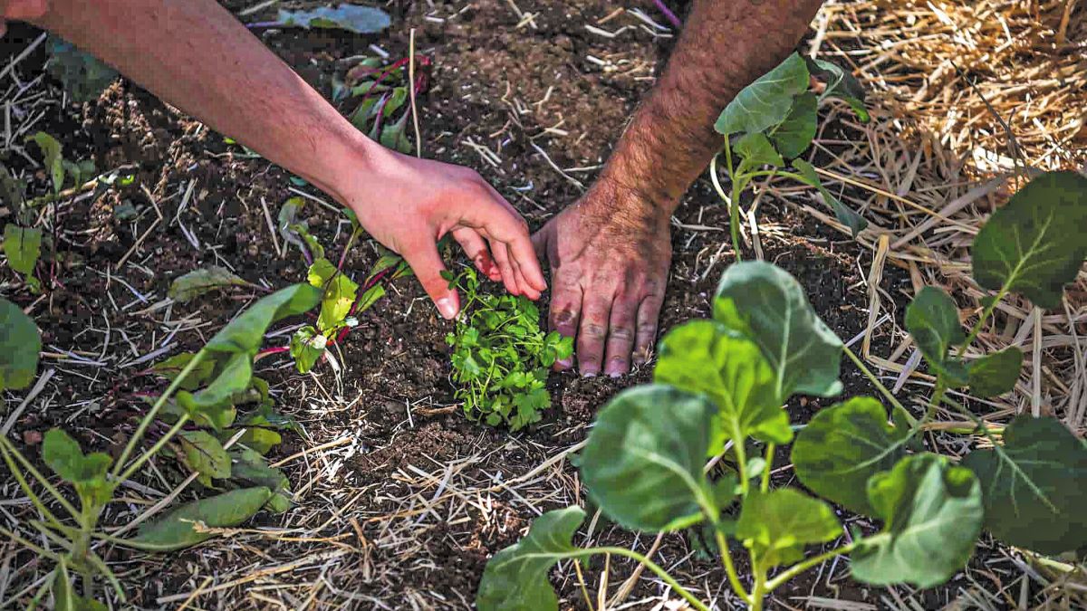 ReSoil: Χρηματοδότηση 4 εκατ. ευρώ για την κλιμάκωση της Aναγεννητικής Γεωργίας