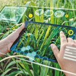 Οι ΗΠΑ στρέφονται στην τεχνητή νοημοσύνη και τη ρομποτική για την ενίσχυση της αγροτικής παραγωγής