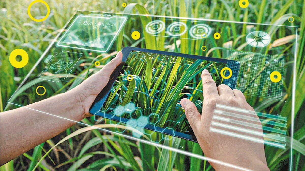 Οι ΗΠΑ στρέφονται στην τεχνητή νοημοσύνη και τη ρομποτική για την ενίσχυση της αγροτικής παραγωγής