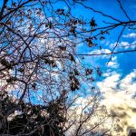 Καιρός: Λίγη συννεφιά με θερμοκρασία έως 19 βαθμούς