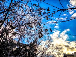 Καιρός: Λίγη συννεφιά με θερμοκρασία έως 19 βαθμούς