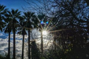 Καιρός: Λιακάδα και ψύχρα