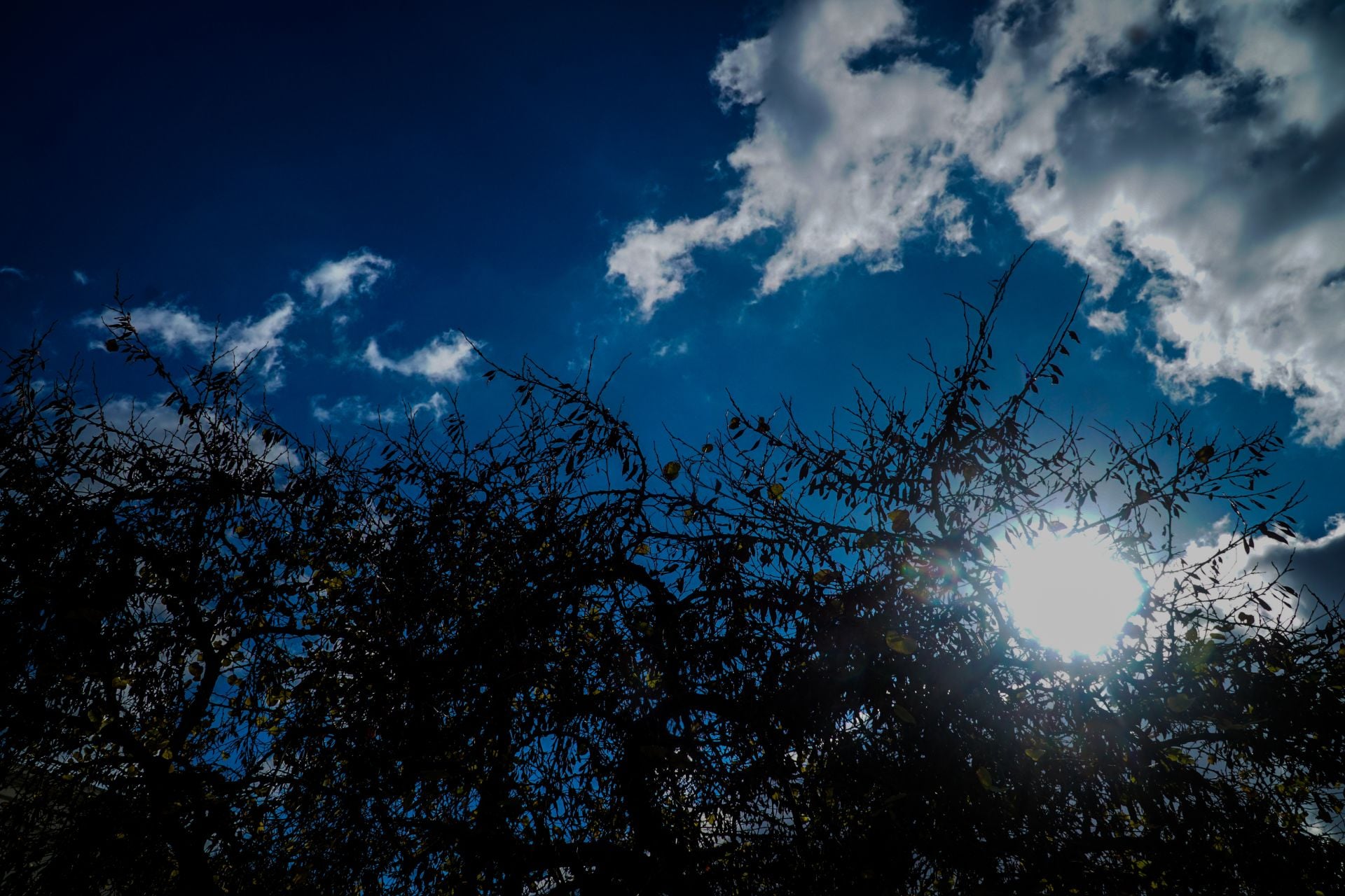 Αίθριος ο καιρός - Δεν θα ξεπεράσει τους 19 βαθμούς η θερμοκρασία