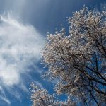 Γενικά αίθριος καιρός με αραιές νεφώσεις και σταθερή θερμοκρασία