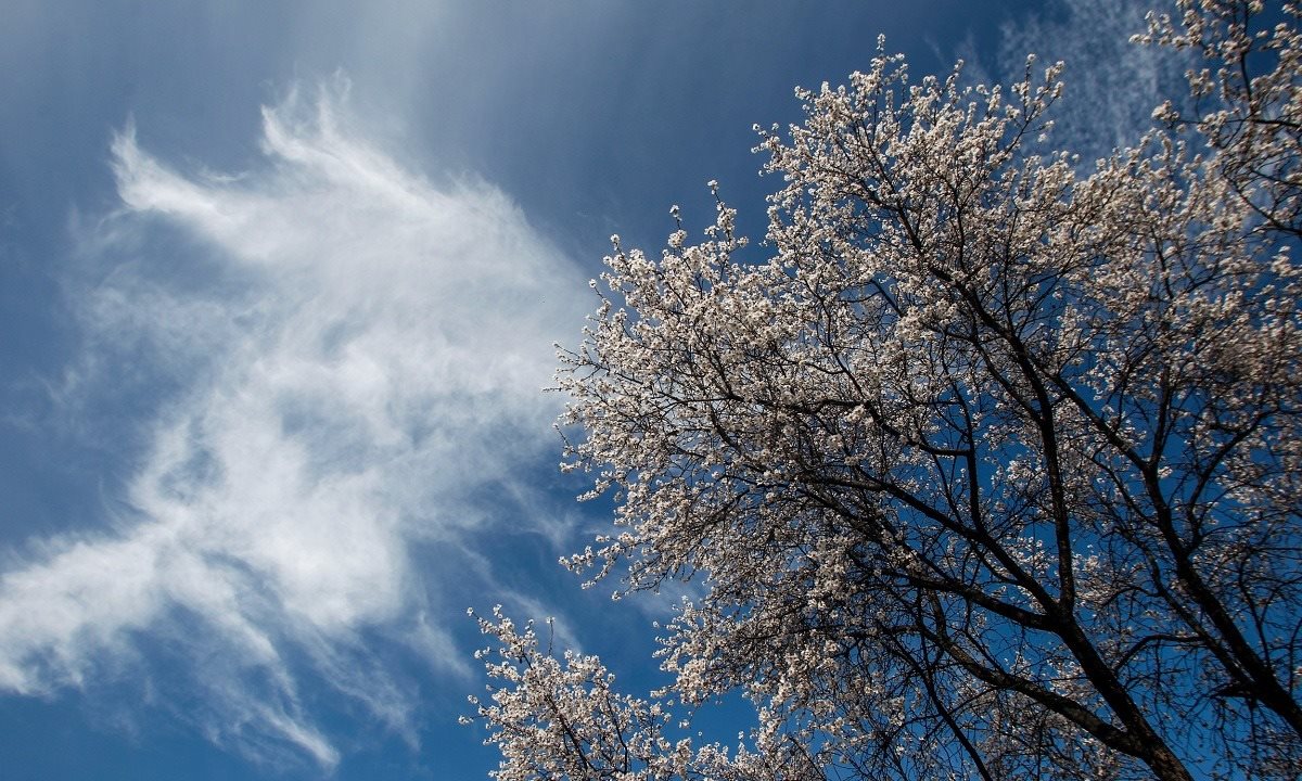 Γενικά αίθριος καιρός με αραιές νεφώσεις και σταθερή θερμοκρασία